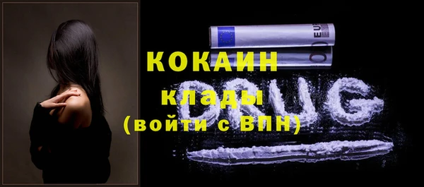 молекула духа Каменск-Шахтинский