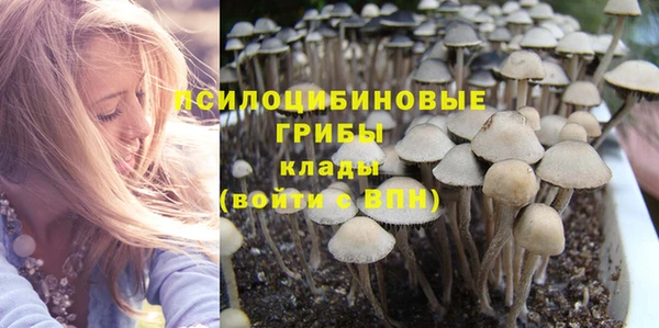 молекула духа Каменск-Шахтинский