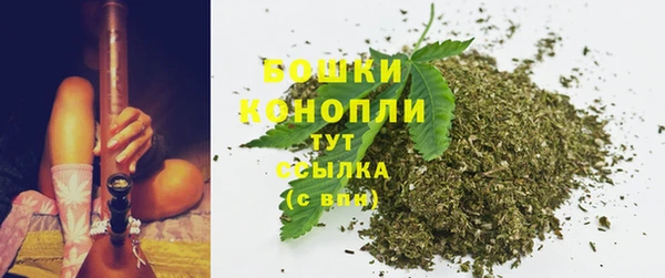 молекула духа Каменск-Шахтинский