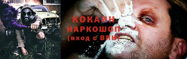 молекула духа Каменск-Шахтинский