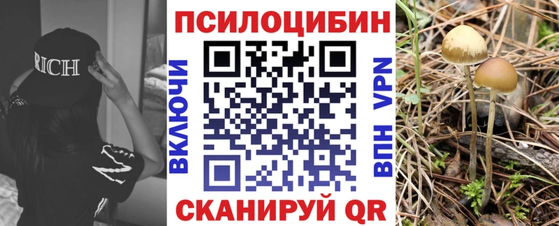 Галлюциногенные грибы прущие грибы  Знаменск 